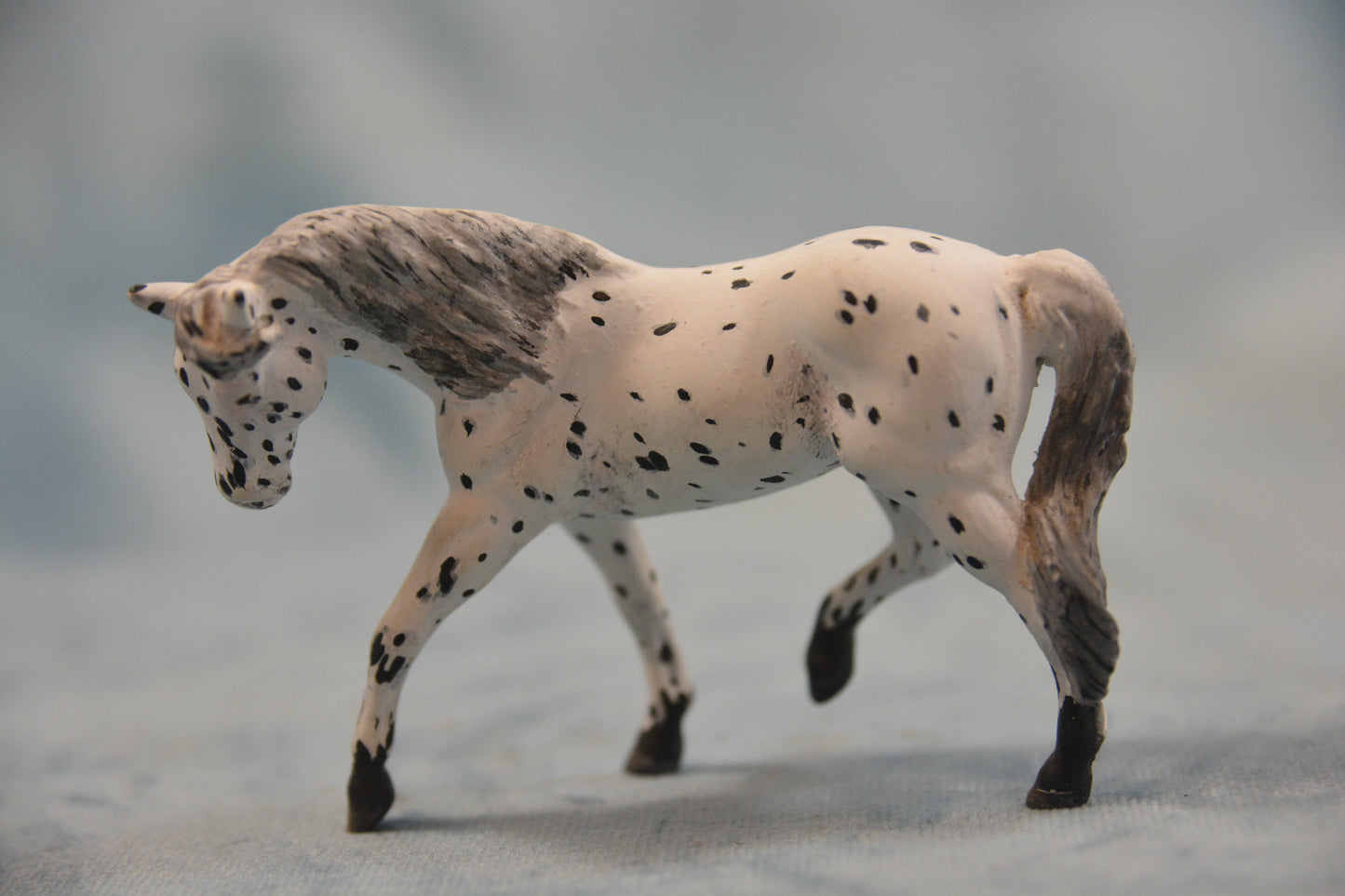 Custom G2 Appaloosa