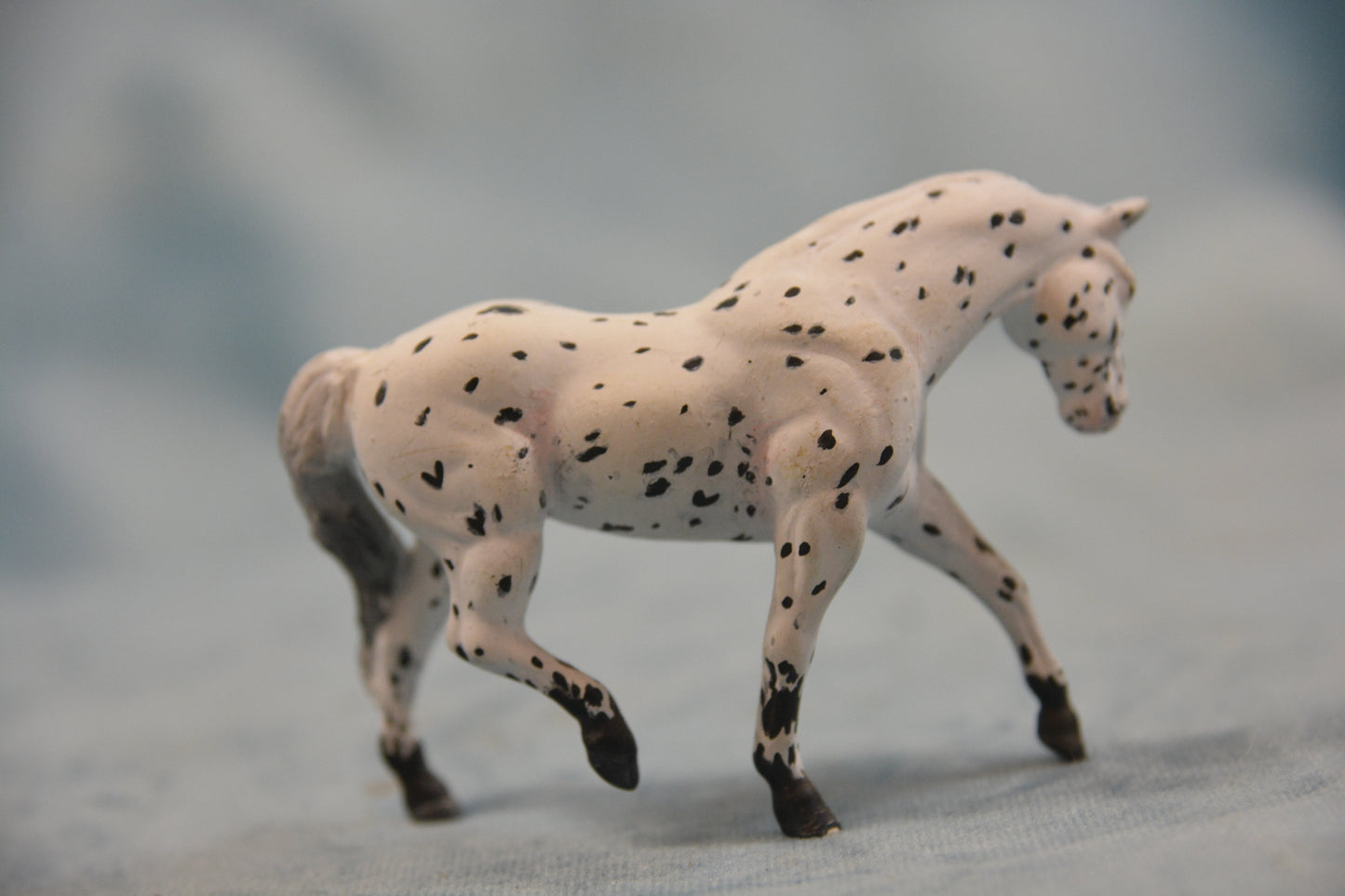 Custom G2 Appaloosa