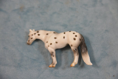 Appaloosa