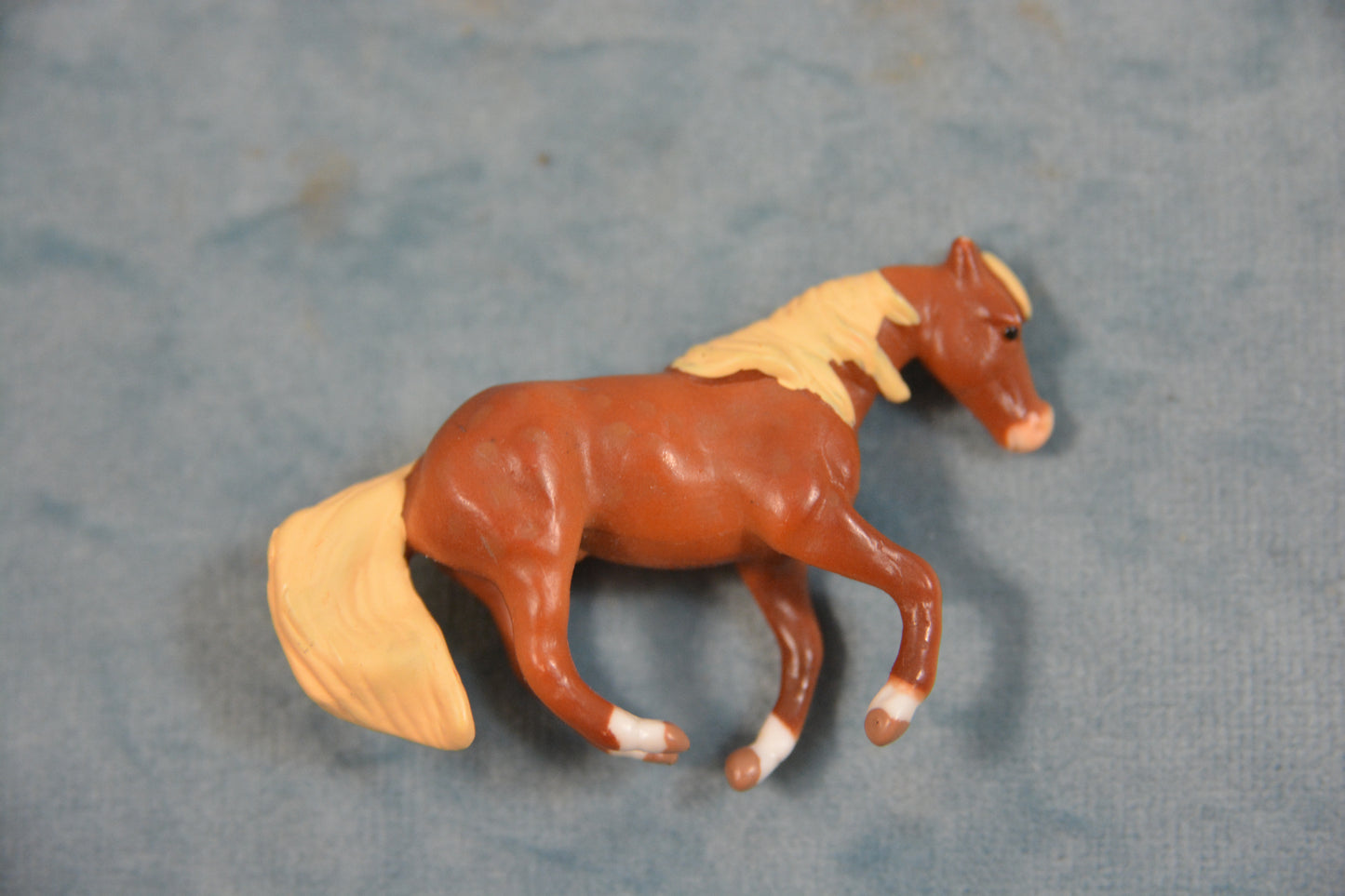 Sliding Stop Quarter Horse