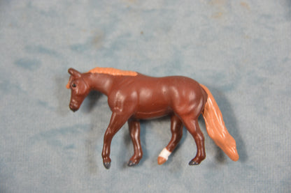 Quarter Horse