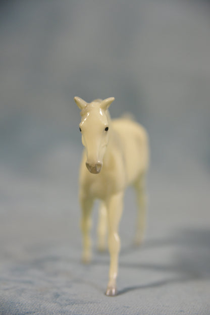 Alabaster Missouri Fox Trotter
