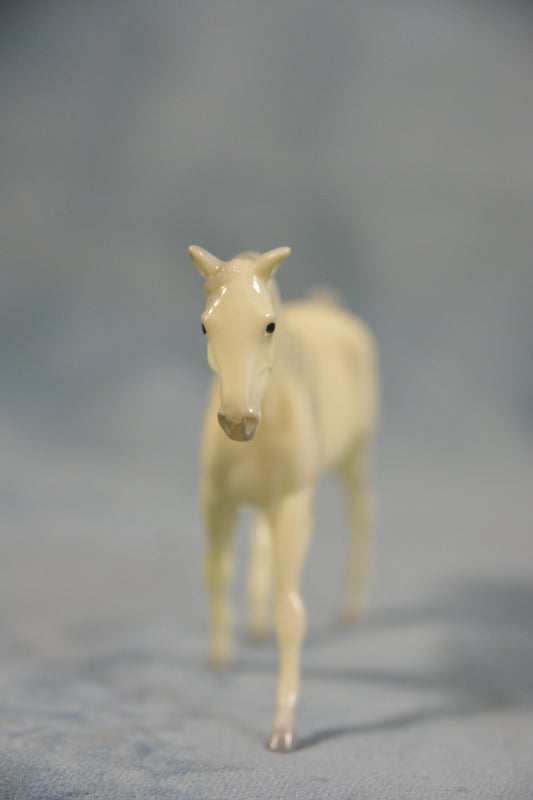 Alabaster Missouri Fox Trotter