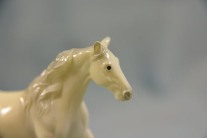 Alabaster Missouri Fox Trotter