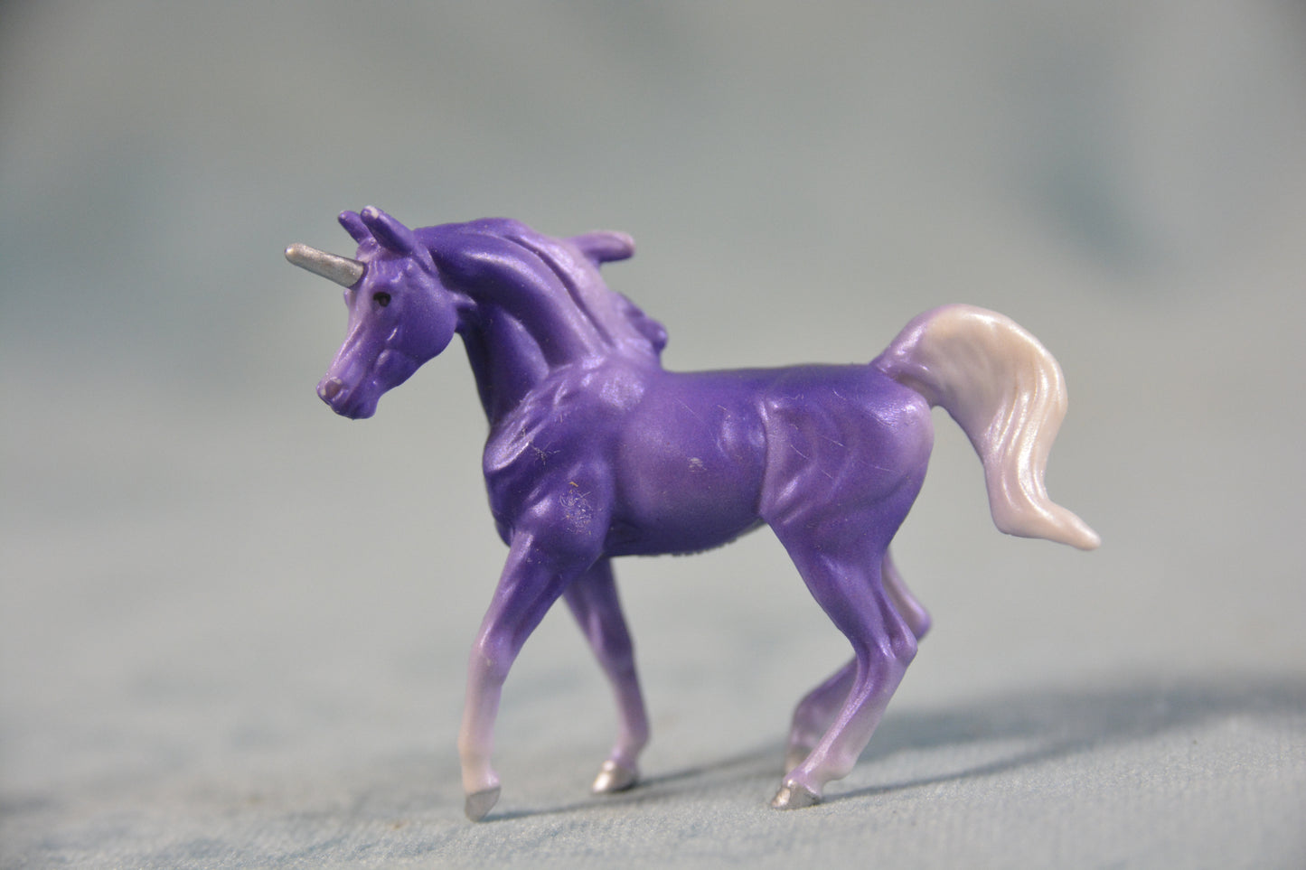 Purple Arabian