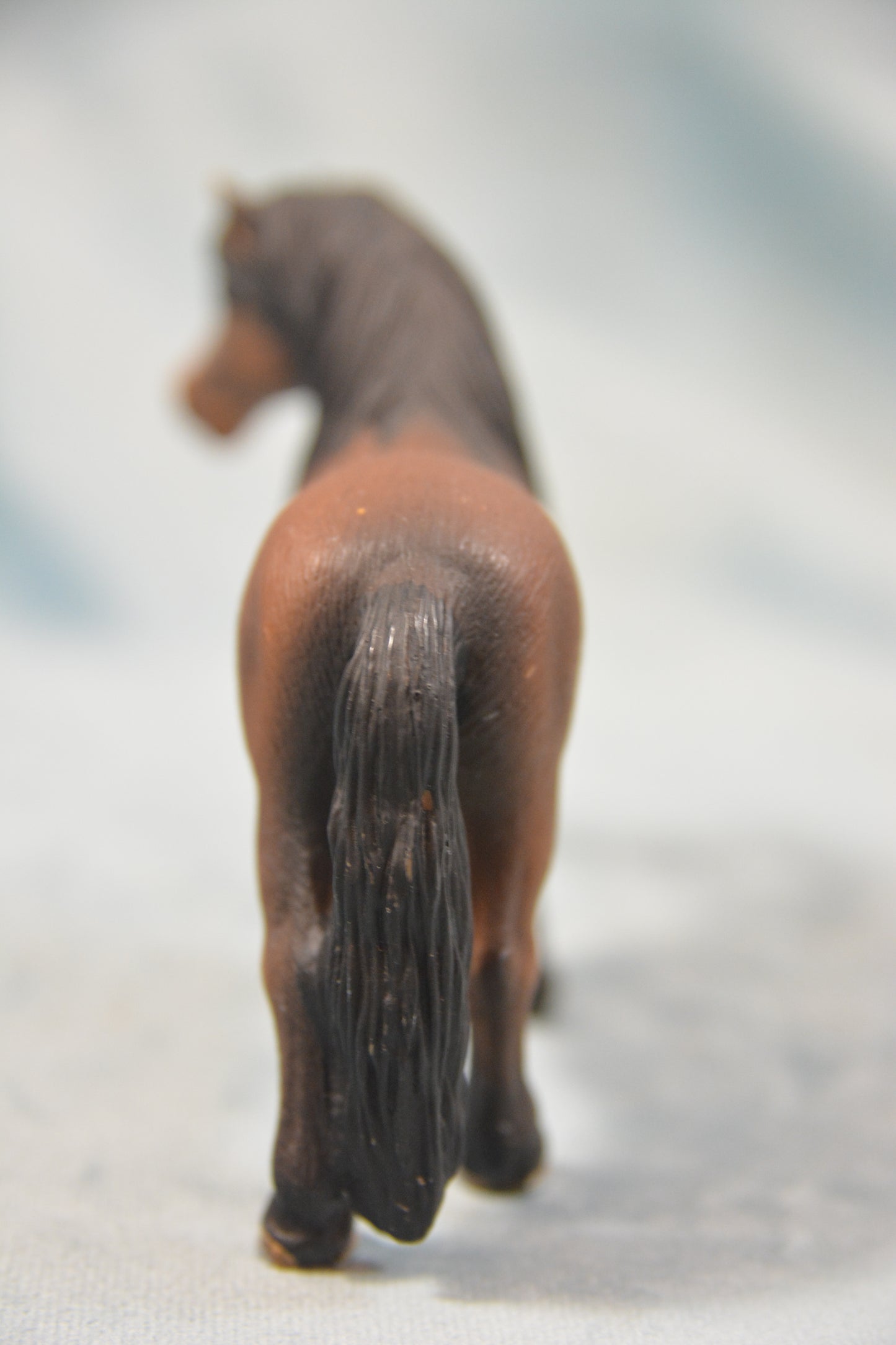 Dartmoor Pony