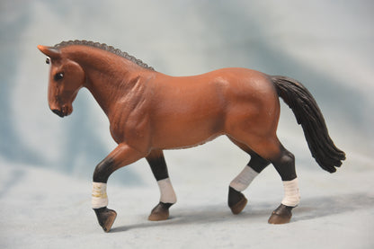 Dressage Hanoverian Mare