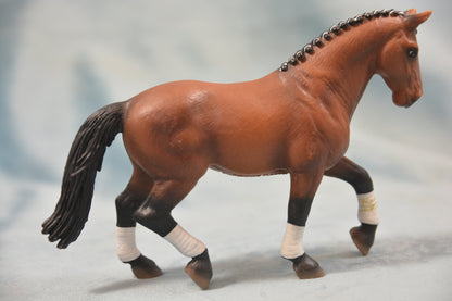 Dressage Hanoverian Mare