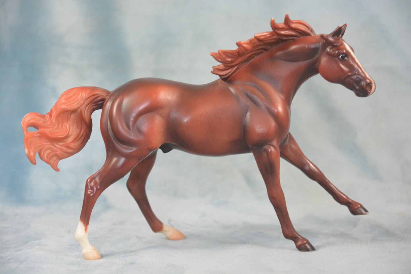 American Quarter Horse