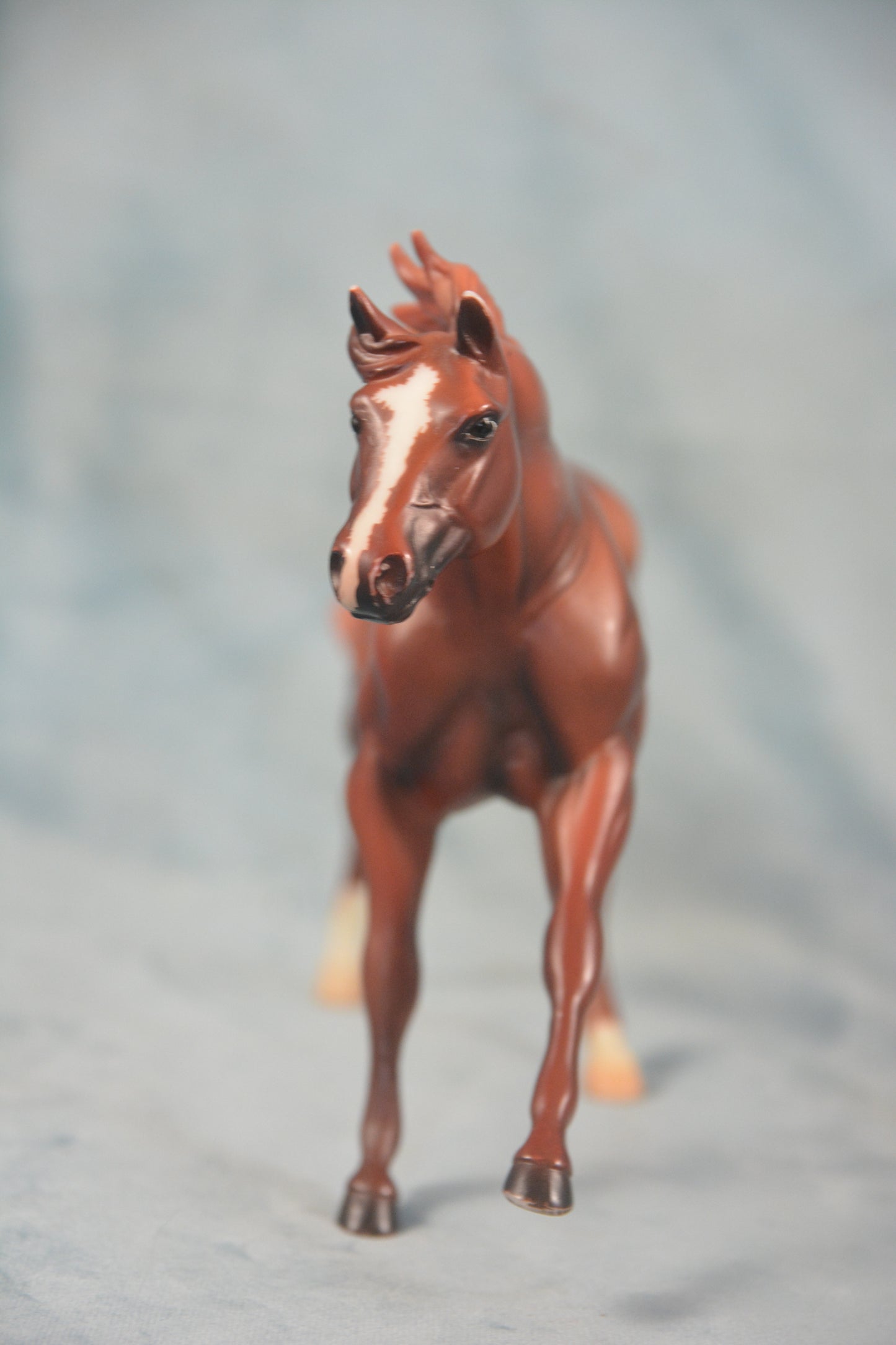 American Quarter Horse
