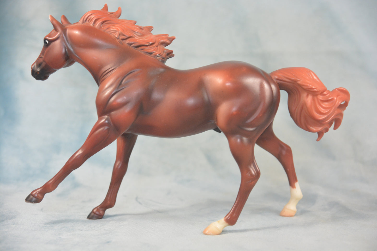 American Quarter Horse