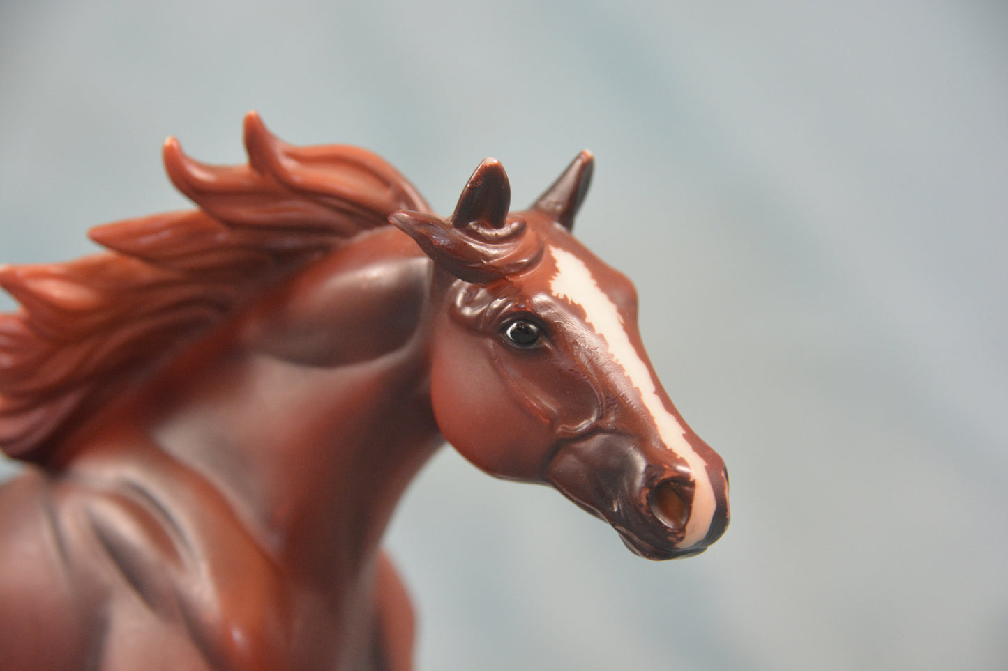 American Quarter Horse