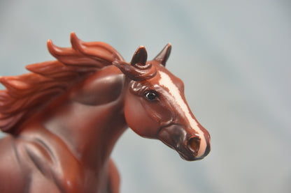 American Quarter Horse