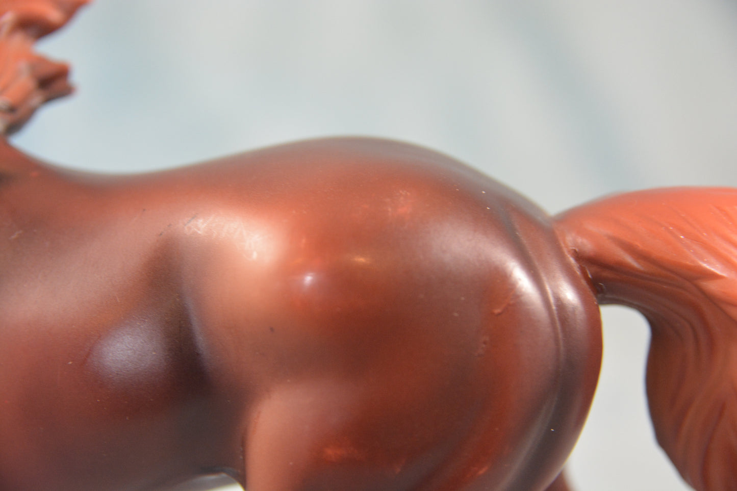American Quarter Horse