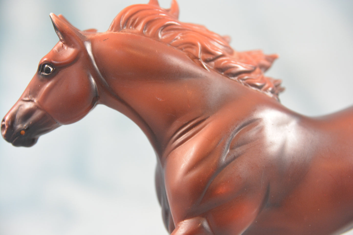 American Quarter Horse