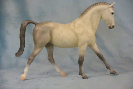 Dapple Grey Hanoverian