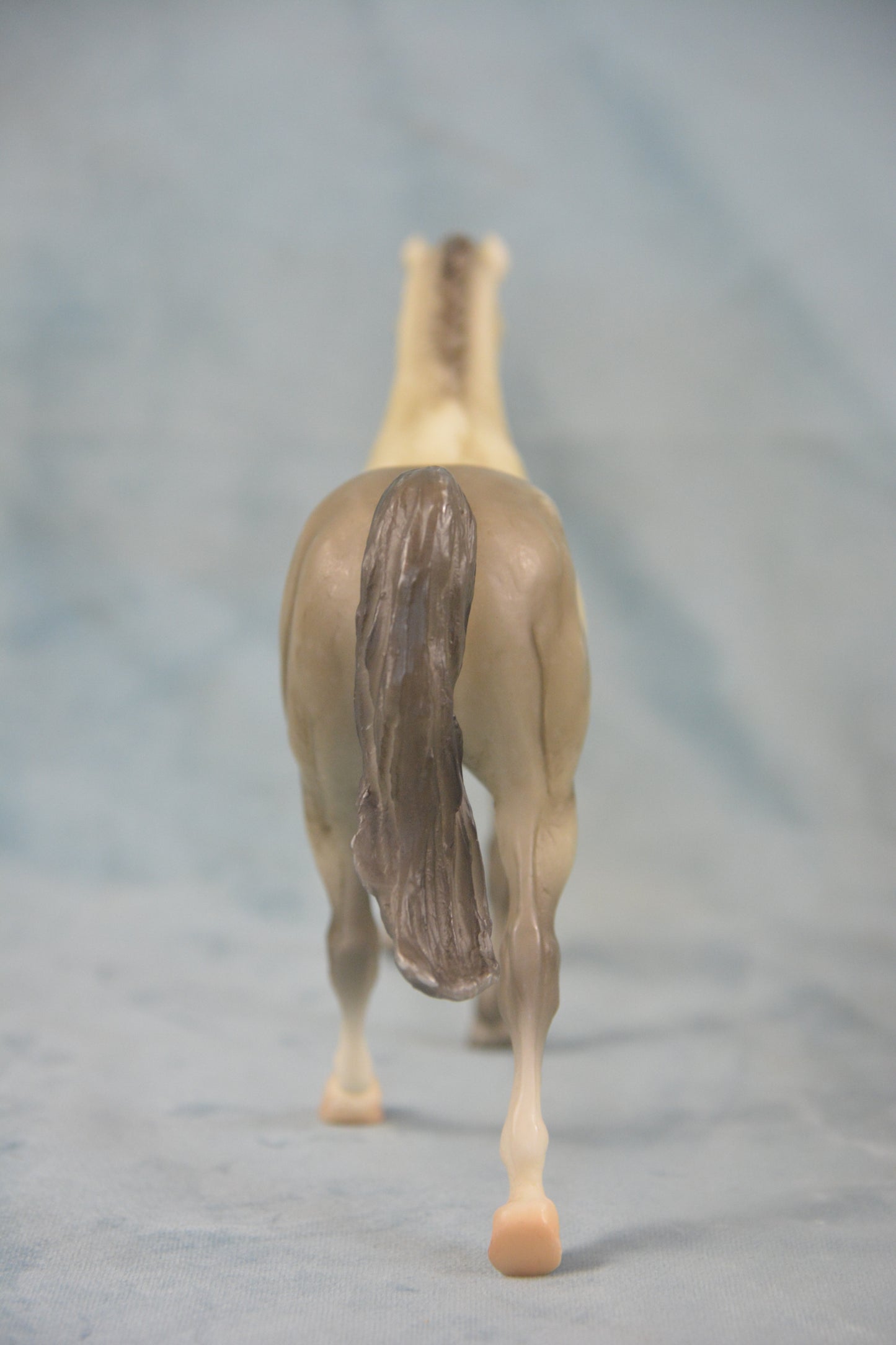 Dapple Grey Hanoverian