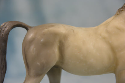 Dapple Grey Hanoverian
