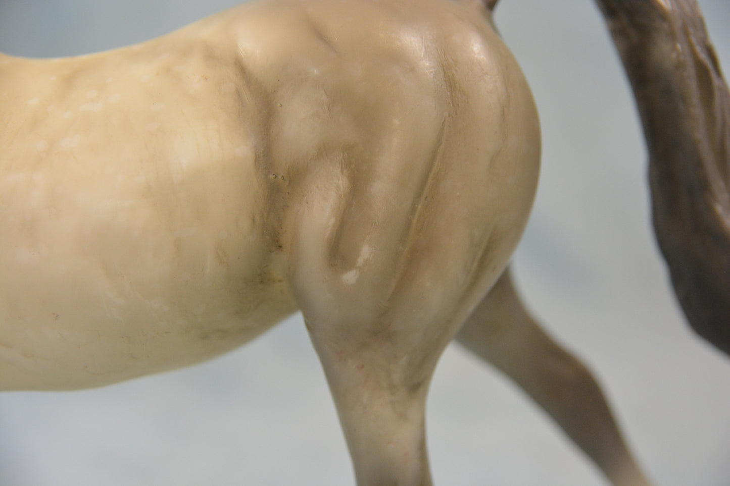 Dapple Grey Hanoverian