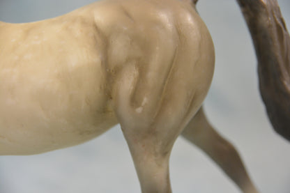 Dapple Grey Hanoverian