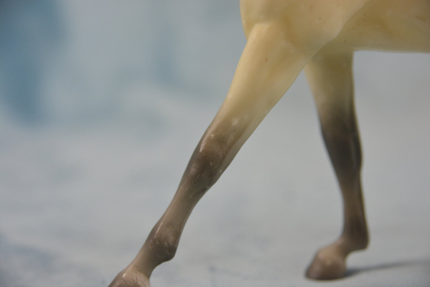 Dapple Grey Hanoverian