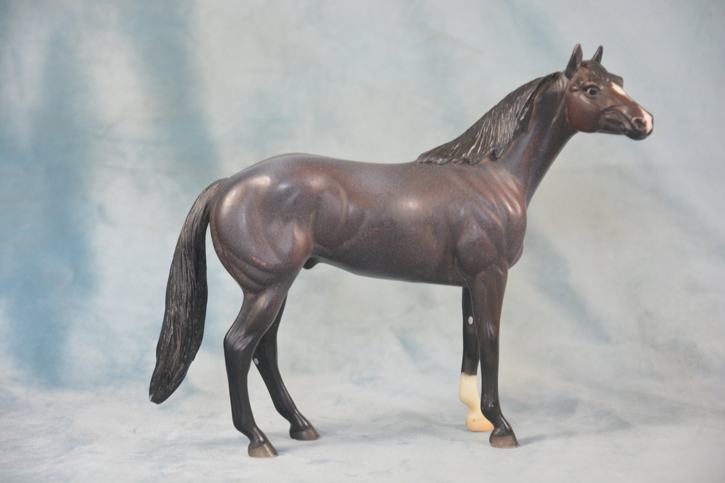 Quarter Horse