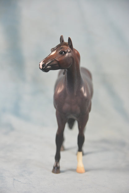 Quarter Horse