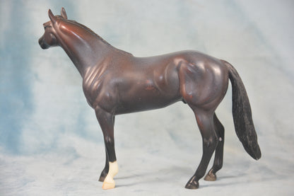 Quarter Horse