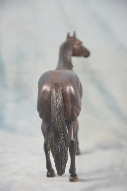 Quarter Horse