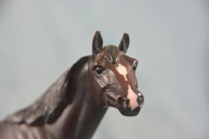 Quarter Horse