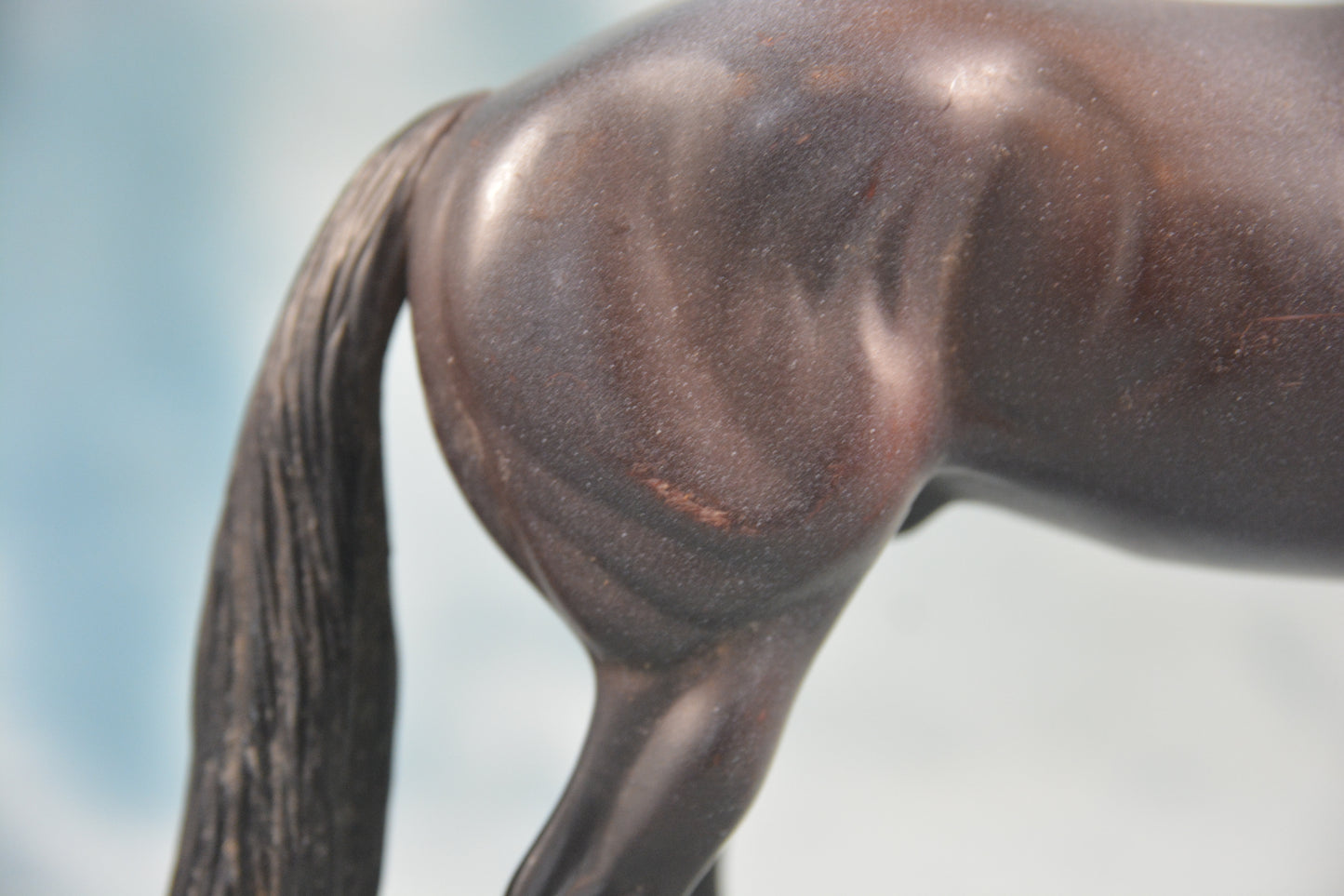Quarter Horse