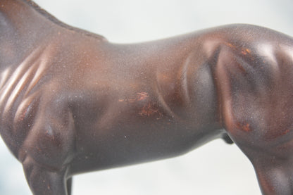 Quarter Horse