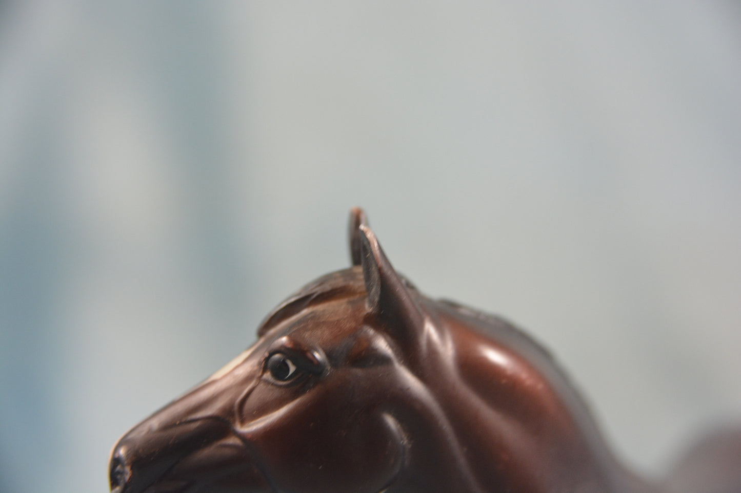 Quarter Horse