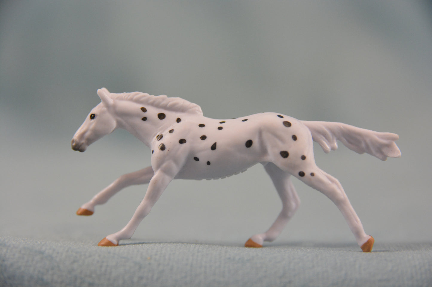 Jag