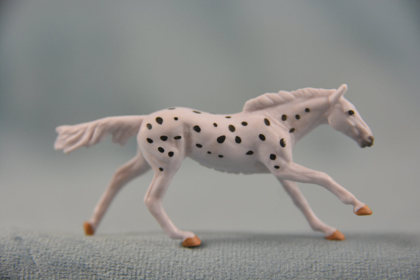 Jag