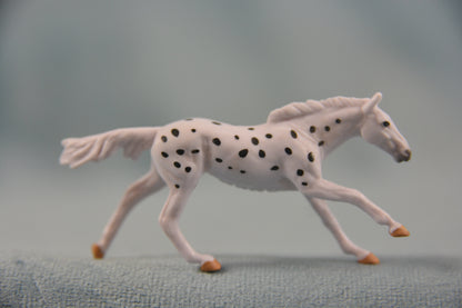 Jag