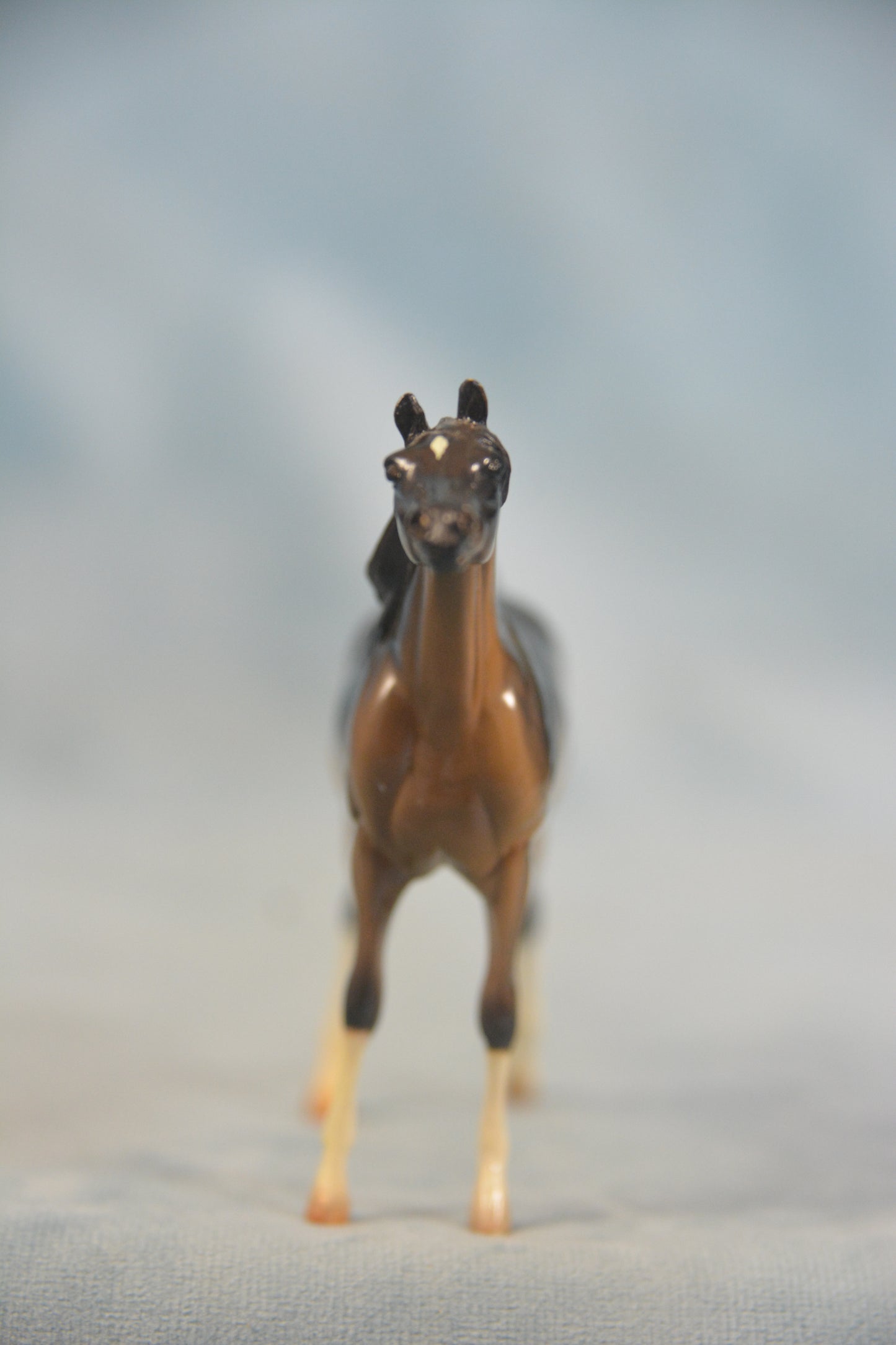 Liver Chestnut Arabian Chip