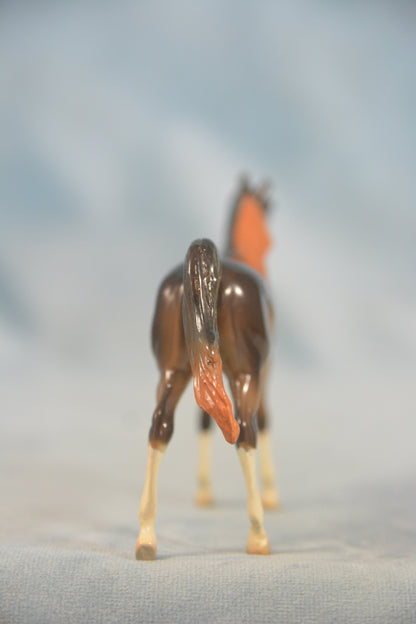 Liver Chestnut Arabian Chip