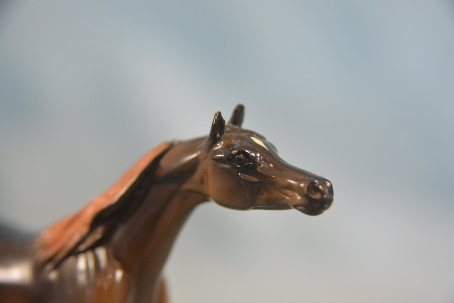 Liver Chestnut Arabian Chip