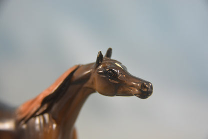 Liver Chestnut Arabian Chip