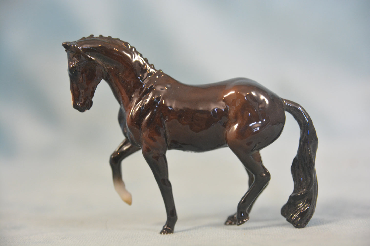 Custom Glossy Valegro