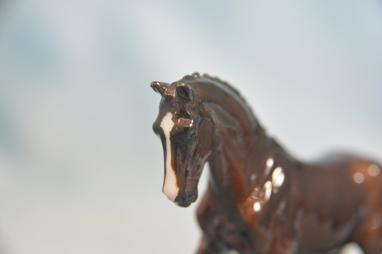 Custom Glossy Valegro
