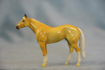 Palomino Stock Horse Chip
