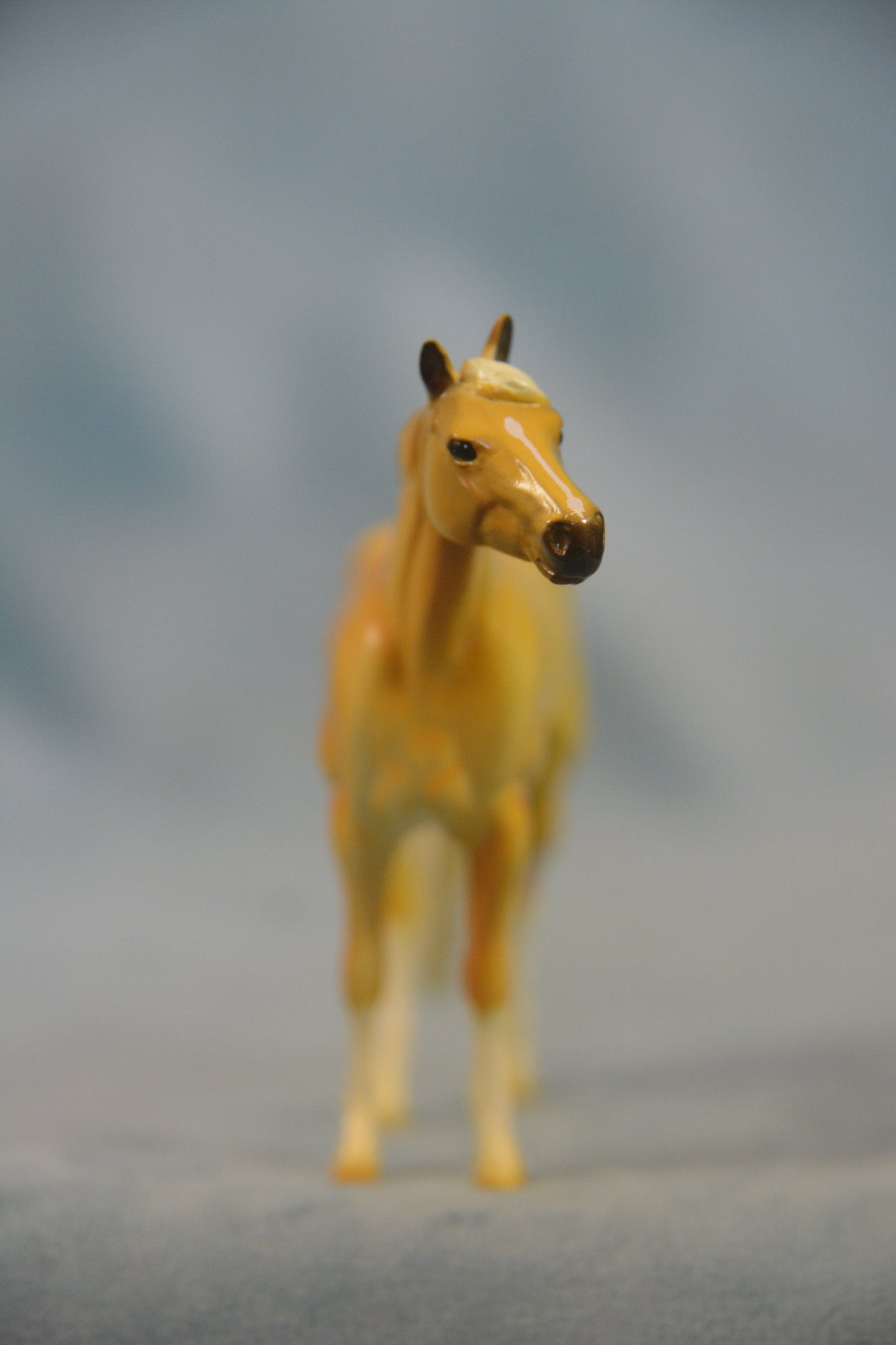 Palomino Stock Horse Chip