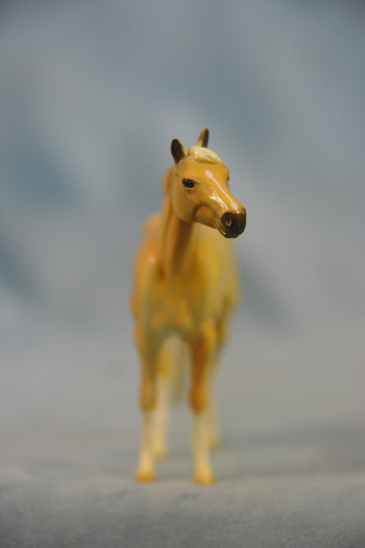 Palomino Stock Horse Chip