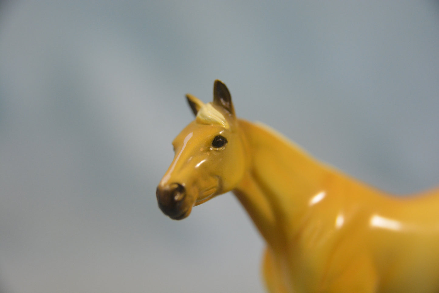 Palomino Stock Horse Chip