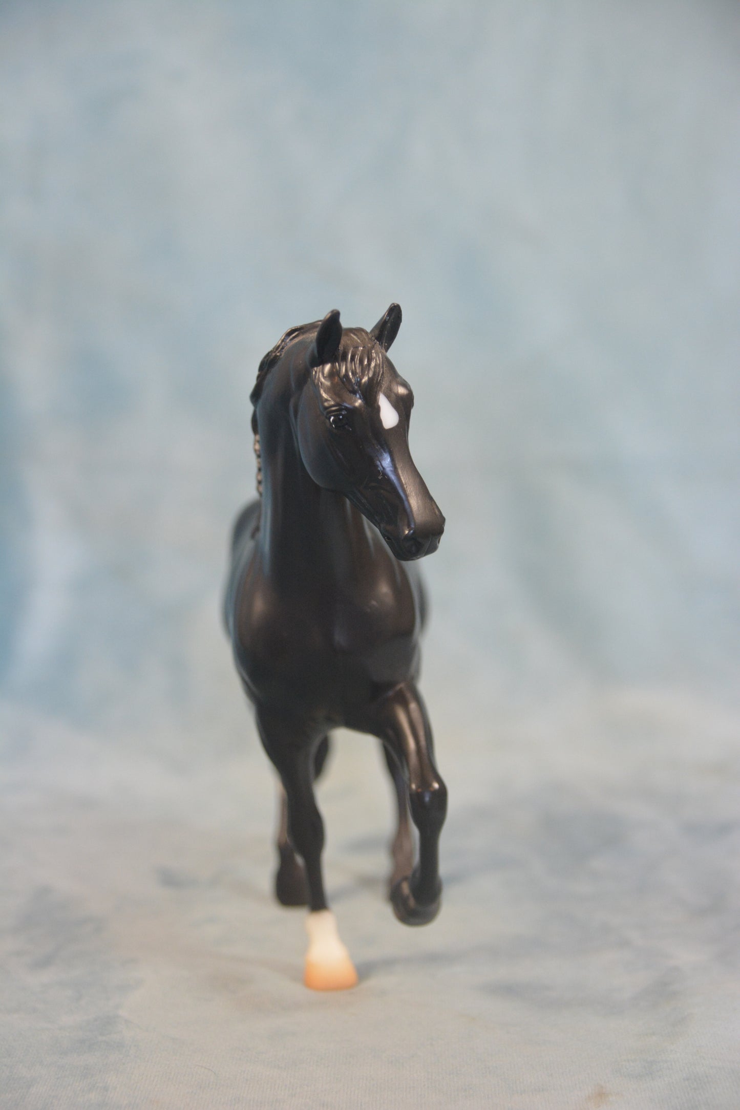 Black Beauty