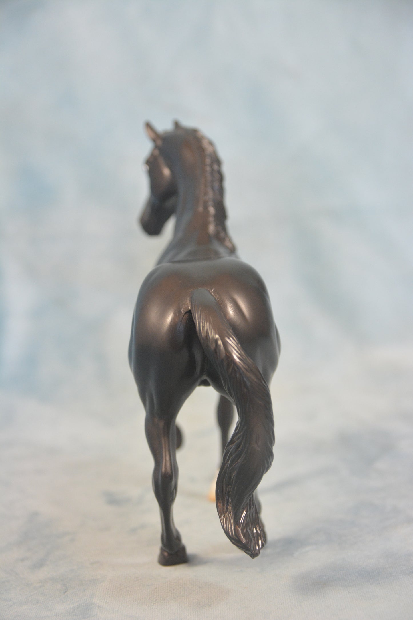 Black Beauty