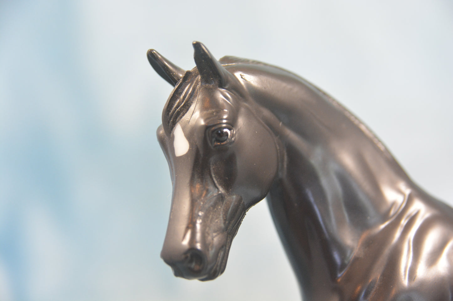 Black Beauty