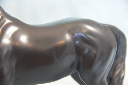 Black Beauty